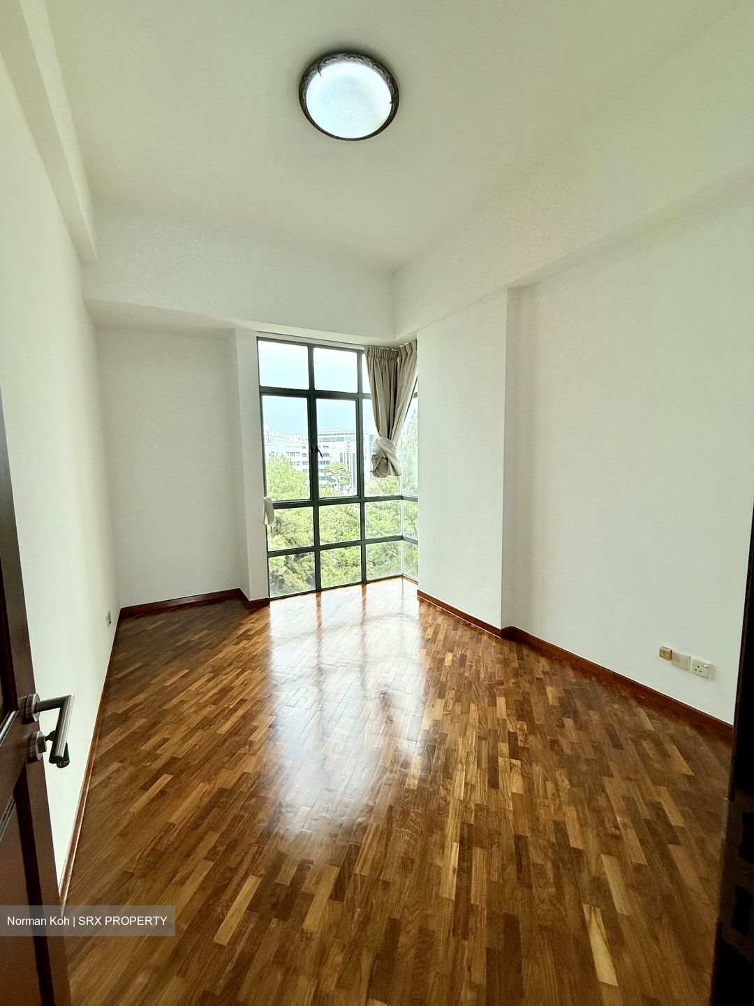 Tanglin Regency (D10), Condominium #608971941